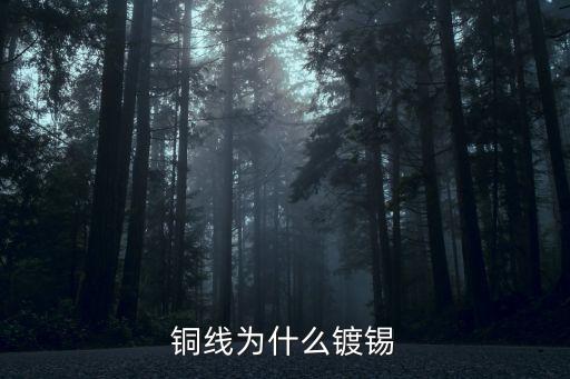 銅線為什么鍍錫