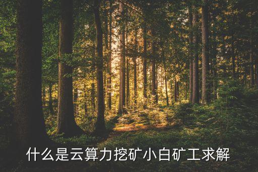 什么是云算力挖礦小白礦工求解