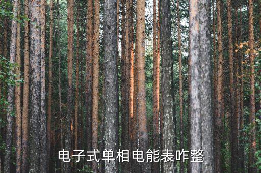 電子式單相電能表，電子式單相電能表咋整