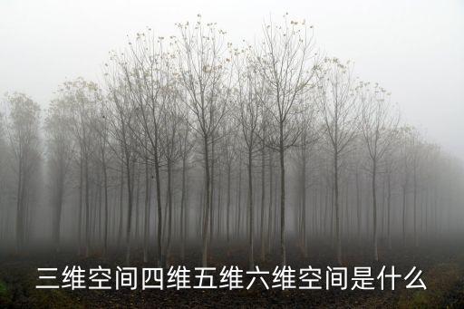 三維空間四維五維六維空間是什么