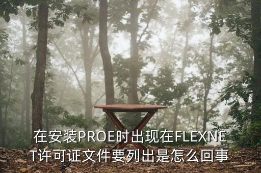 在安裝PROE時出現(xiàn)在FLEXNET許可證文件要列出是怎么回事