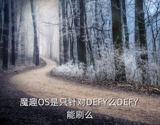 魔趣OS是只針對DEFY么DEFY能刷么