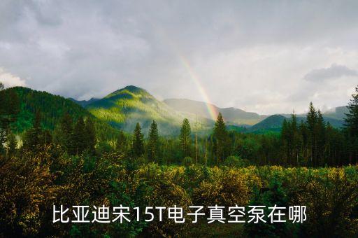 比亞迪宋15T電子真空泵在哪