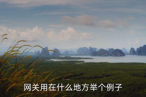 網(wǎng)關(guān)用在什么地方舉個(gè)例子