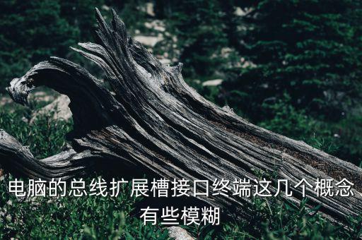 電腦的總線擴(kuò)展槽接口終端這幾個(gè)概念有些模糊
