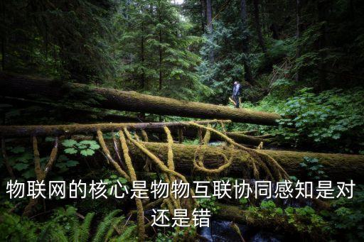 物聯網的核心是，物聯網的核心是物物互聯協同感知是對還是錯