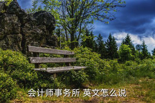 會(huì)計(jì)師事務(wù)所 英文怎么說