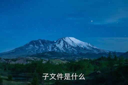 子文件是什么