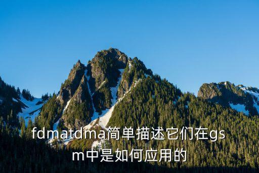 fdmatdma簡單描述它們在gsm中是如何應(yīng)用的