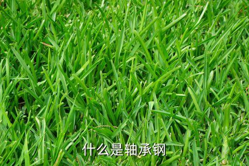 什么是軸承鋼