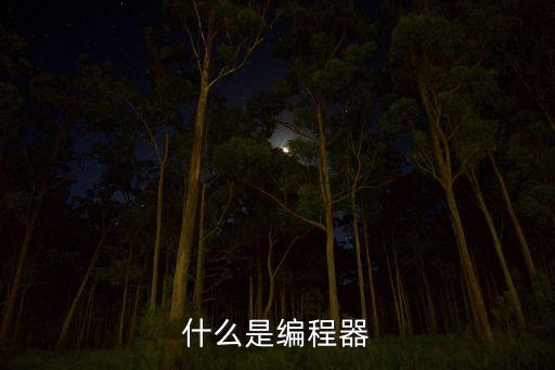 編程器，編程器是干嘛用的是什么語(yǔ)言用的
