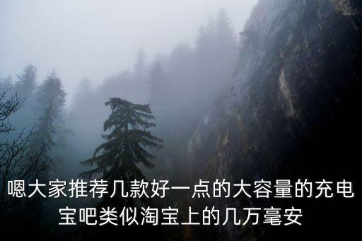 大容量充電寶，嗯大家推薦幾款好一點的大容量的充電寶吧類似淘寶上的幾萬毫安