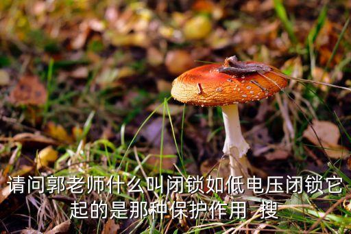閉鎖是什么意思，漏電保護(hù)器閉鎖甚么意思