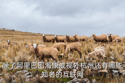 除了阿里巴巴海康威視外杭州還有哪些知名的互聯(lián)網(wǎng)