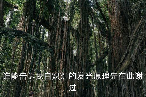 白熾燈發(fā)光原理，白熾燈是如何發(fā)出光亮的