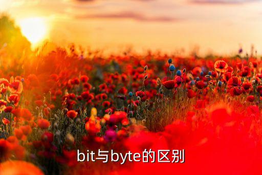 byte和bit的區(qū)別，bit與byte的區(qū)別