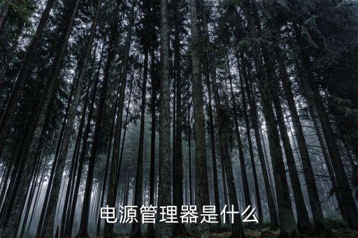 電源管理器是什么