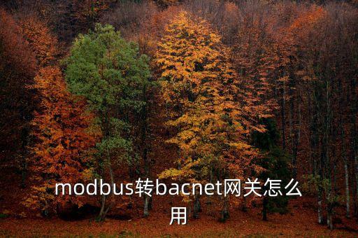 modbus轉(zhuǎn)bacnet網(wǎng)關怎么用