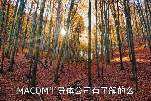 macom，MACOM公司是做什么的啊公司好不好呢