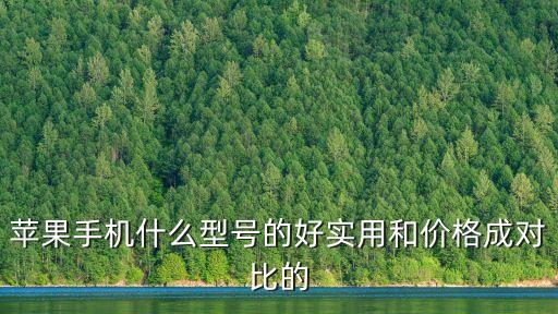 蘋果對比機(jī)型，蘋果手機(jī)什么型號的好實(shí)用和價(jià)格成對比的