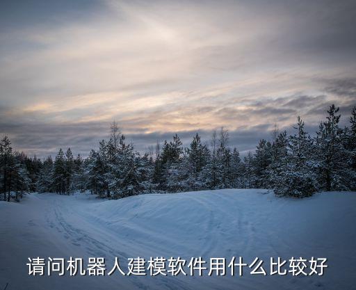 請問機(jī)器人建模軟件用什么比較好