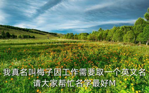 merial，merial體外驅(qū)蟲藥效果好嗎