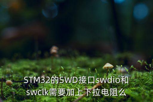 STM32的SWD接口swdio和swclk需要加上下拉電阻么