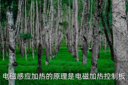 電磁感應(yīng)加熱的原理是電磁加熱控制板