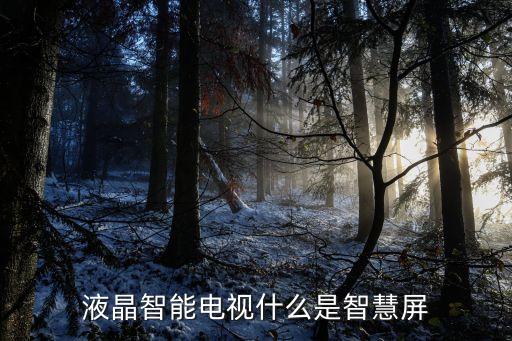 液晶智能電視什么是智慧屏