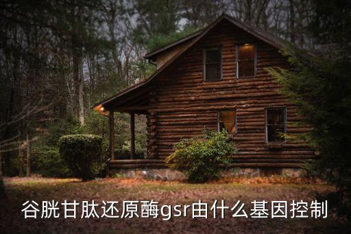 gsr，汽輪機廠 gsr是什么意思代表什么是汽封供汽調(diào)節(jié)站嗎