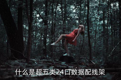 什么是超五類24口數(shù)據(jù)配線架