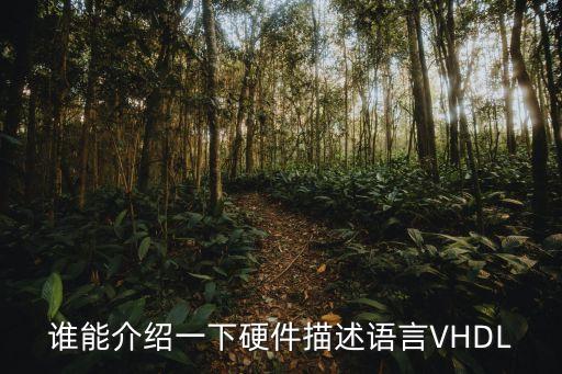 誰(shuí)能介紹一下硬件描述語(yǔ)言VHDL