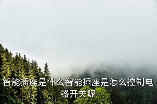 智能插座是什么智能插座是怎么控制電器開(kāi)關(guān)呢