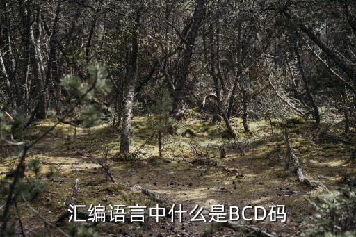 匯編語(yǔ)言中什么是BCD碼