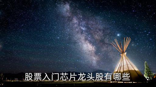 芯片龍頭，人工智能芯片誰是龍頭 智能芯片上市企業(yè)有哪些