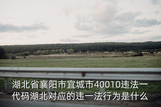 湖北省襄陽市宜城市40010違法一代碼湖北對應(yīng)的違一法行為是什么