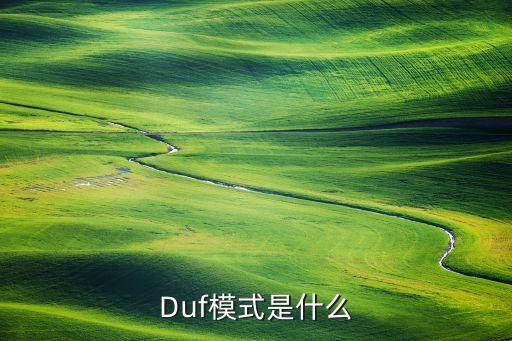 Duf模式是什么