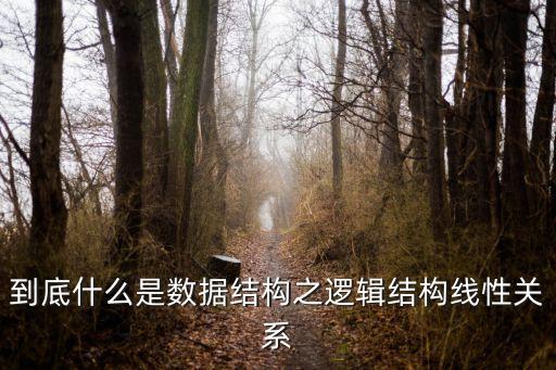 到底什么是數(shù)據(jù)結(jié)構(gòu)之邏輯結(jié)構(gòu)線性關(guān)系