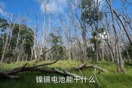 鎳鎘電池能干什么