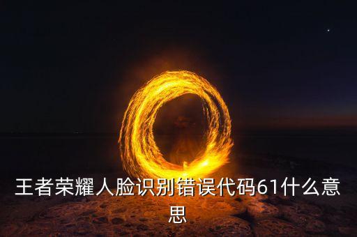 王者榮耀人臉識別錯誤代碼61什么意思