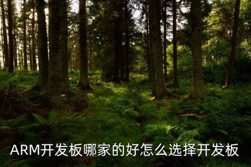 ARM開發(fā)板哪家的好怎么選擇開發(fā)板