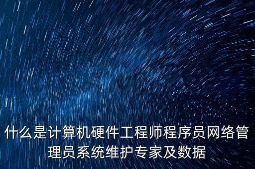 什么是計算機硬件工程師程序員網(wǎng)絡管理員系統(tǒng)維護專家及數(shù)據(jù)