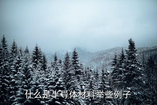 什么是半導(dǎo)體材料舉些例子