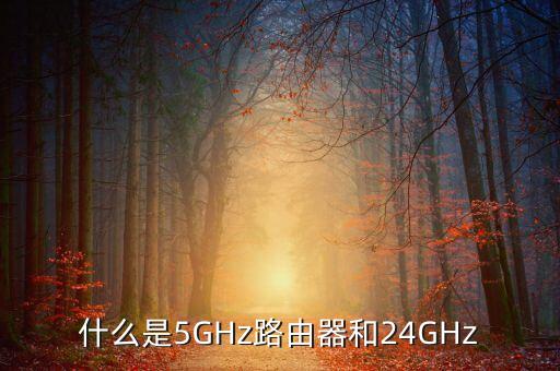 什么是5GHz路由器和24GHz