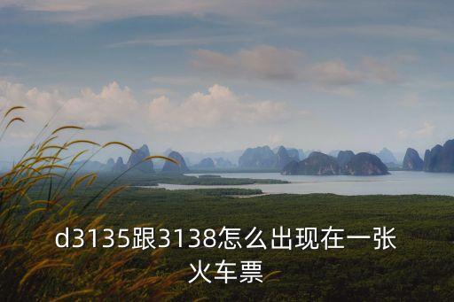 d3135跟3138怎么出現(xiàn)在一張火車票