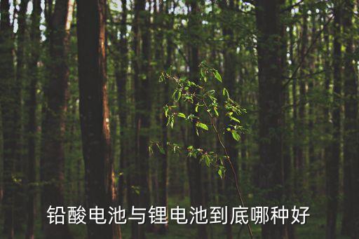 鉛酸電池與鋰電池到底哪種好