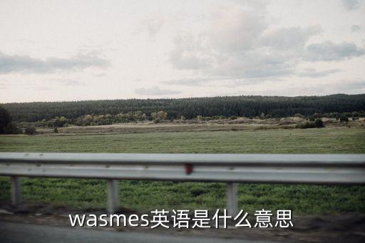 wasm，請問wasm反編譯出來的代碼中退出程序是怎么寫