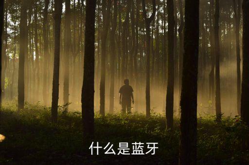 什么是藍(lán)牙