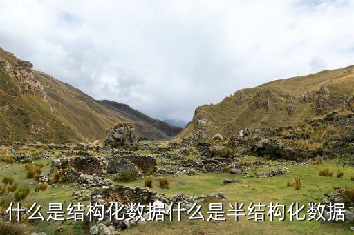 什么是結(jié)構(gòu)化數(shù)據(jù)什么是半結(jié)構(gòu)化數(shù)據(jù)