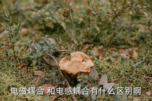 電磁耦合，電磁耦合效應到底是怎么回事啊